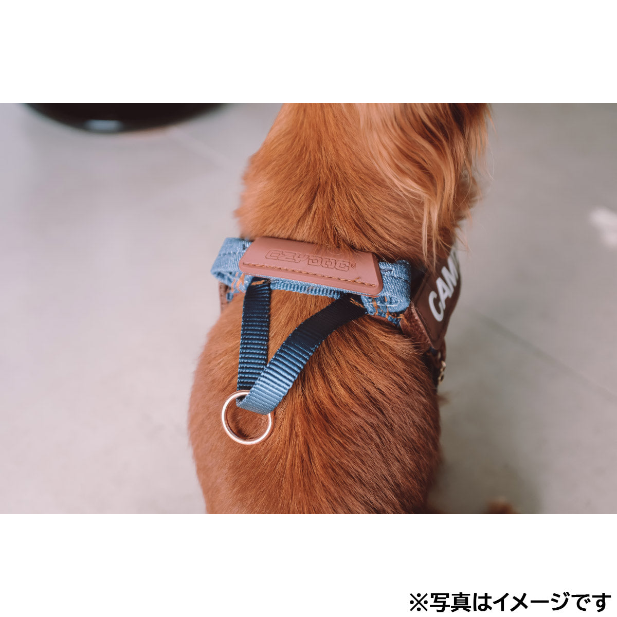イージードッグ EZYDOG エクスプレスハーネス XXS デニム【送料無料】