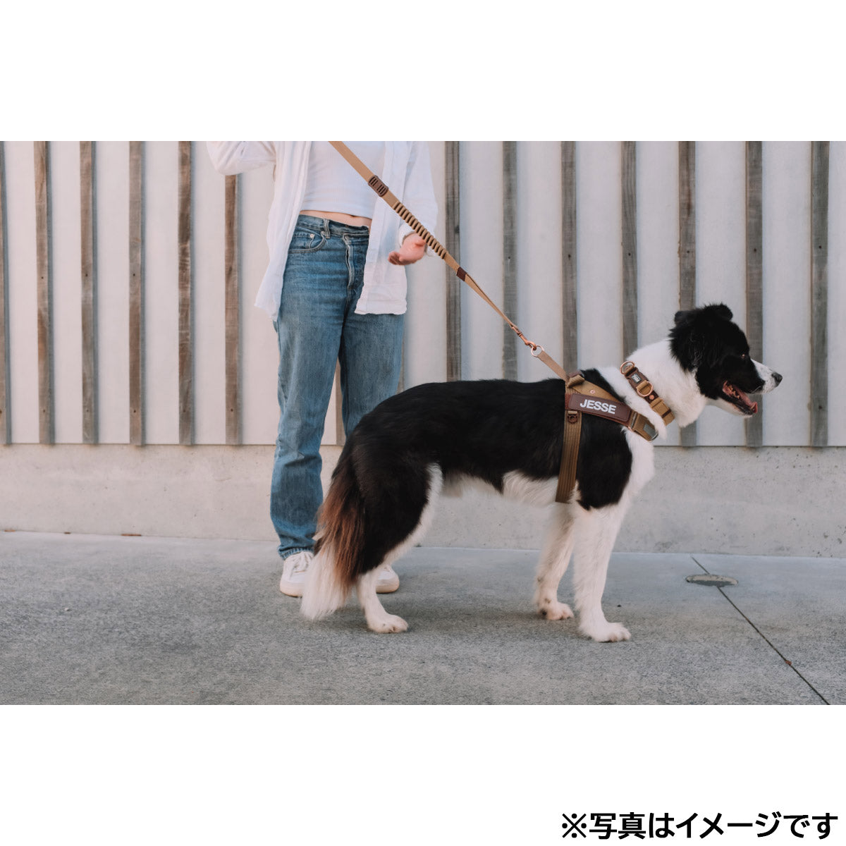 イージードッグ EZYDOG エクスプレスハーネス XXS コーデュロイ【送料無料】