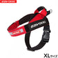 イージードッグ EZYDOG エクスプレスハーネス XL レッド【送料無料】