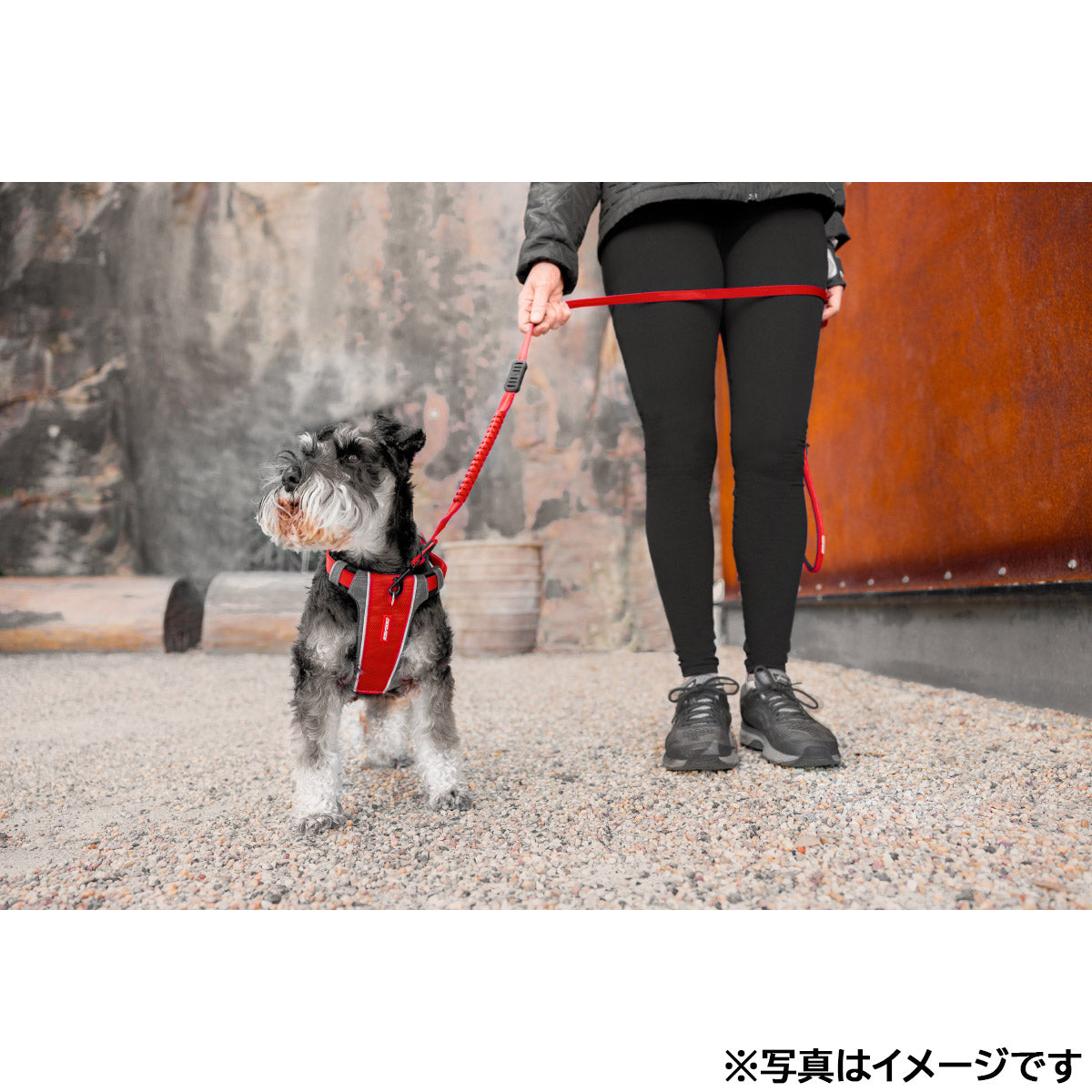 イージードッグ EZYDOG エックスリンクハーネス S レッド【送料無料】