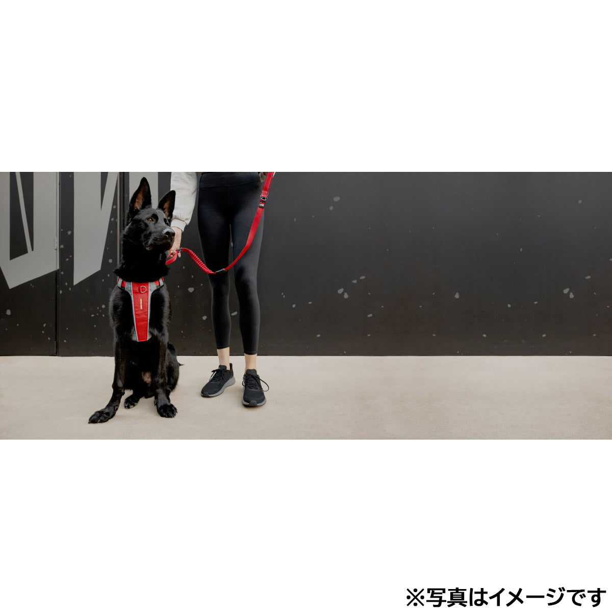 イージードッグ EZYDOG エックスリンクハーネス S レッド【送料無料】