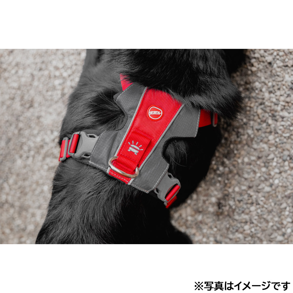 イージードッグ EZYDOG エックスリンクハーネス XL ブラック【送料無料】