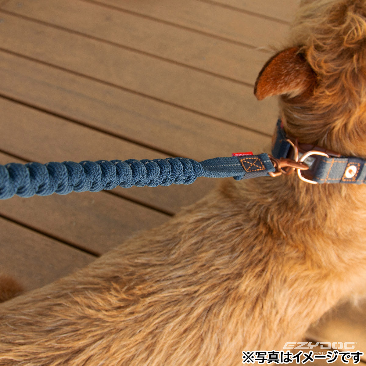イージードッグ EZYDOG プレミアム デニム コレクション ダブルロックカラー XL デニム【送料無料】