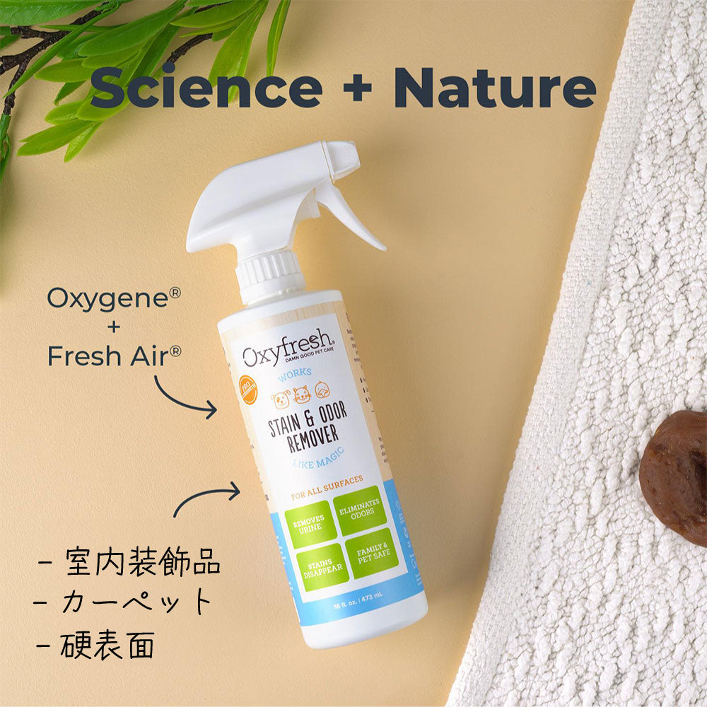 オキシフレッシュ Oxyfresh ステイン＆オーダークリーナー 473ml【送料無料】