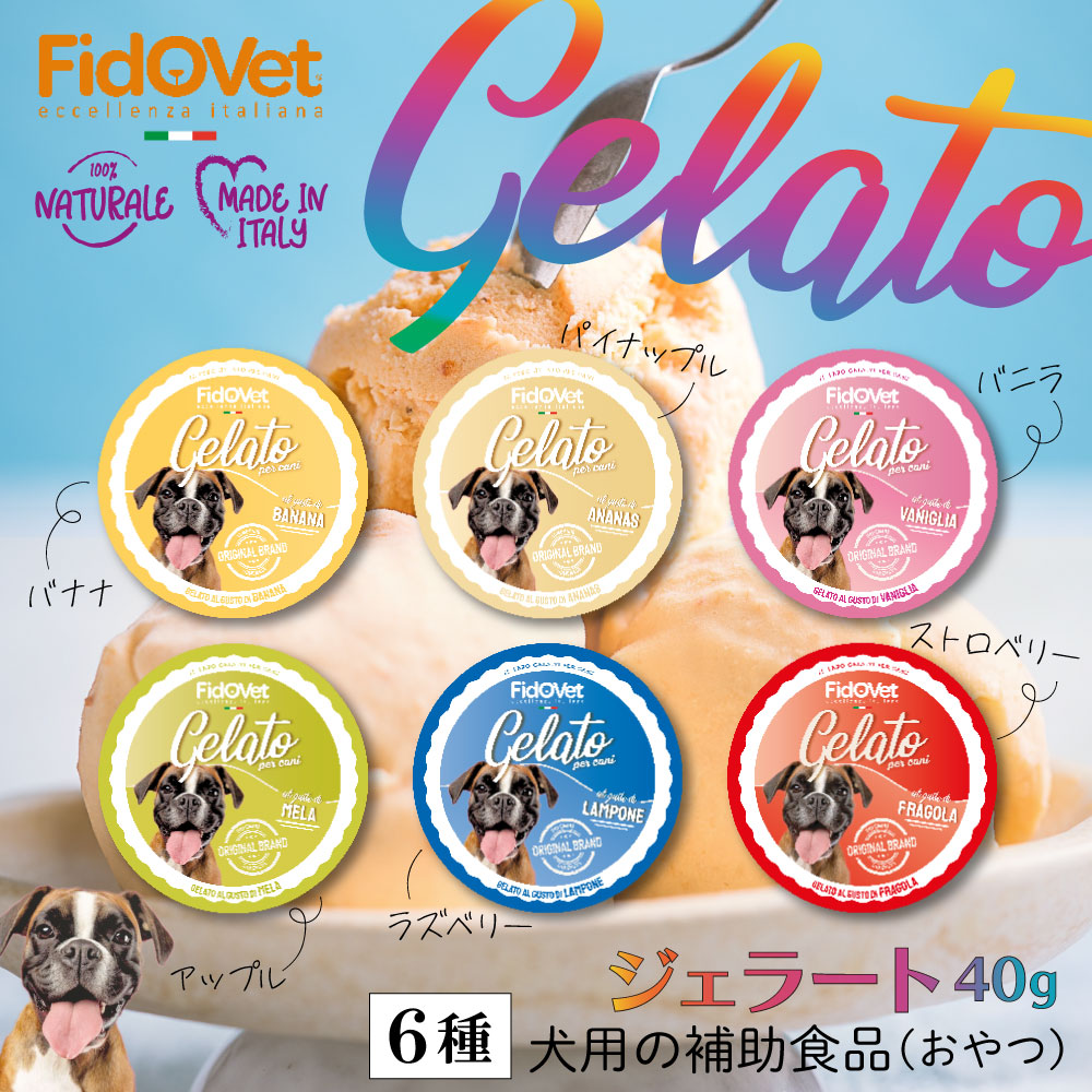 フィドベット ジェラート ディスプレイBOX 40g×24【送料無料】 犬用おやつ
