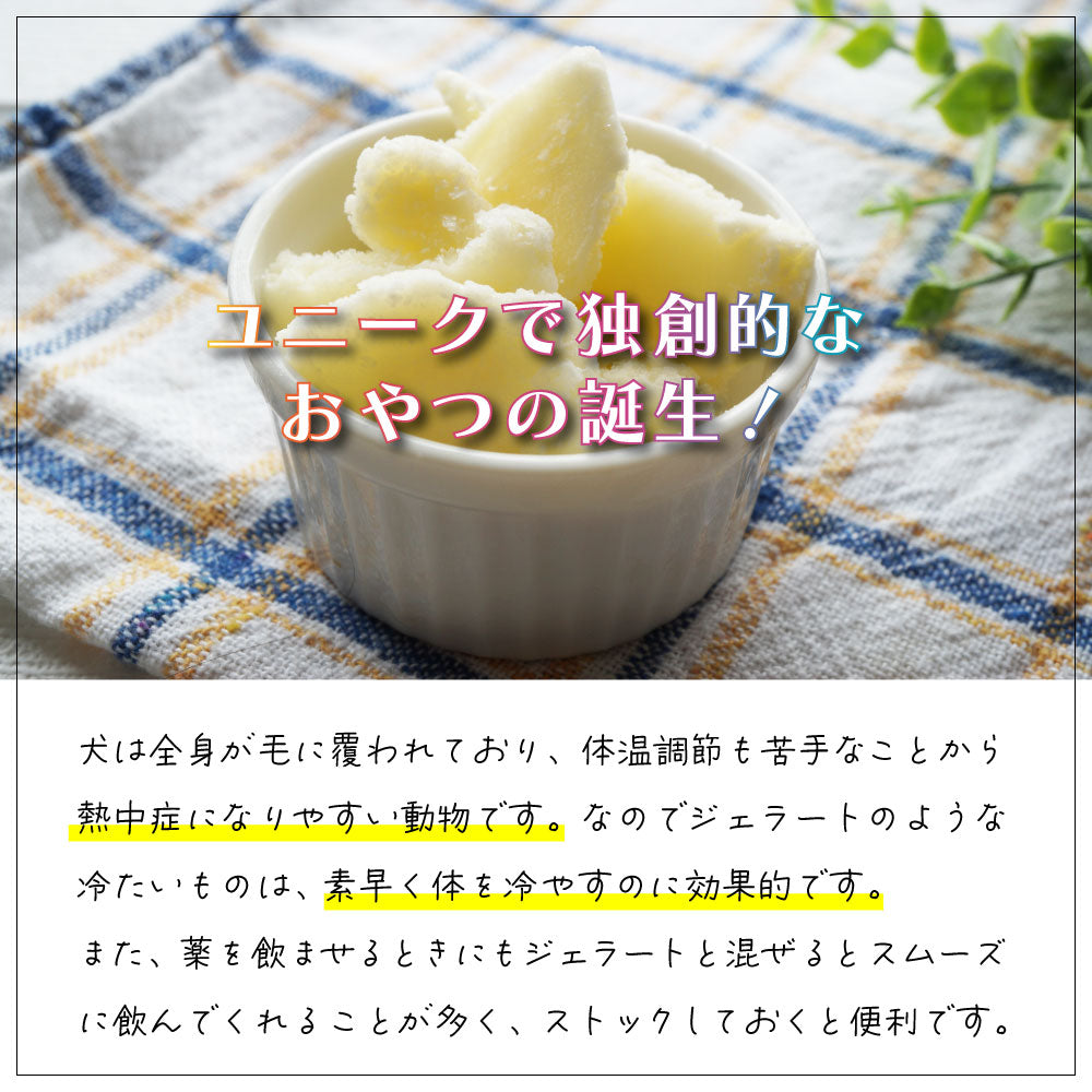 フィドベット ジェラート ディスプレイBOX 40g×24【送料無料】 犬用おやつ