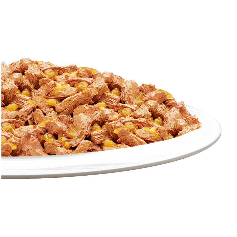 ピュリナ フィリックス パウチ やわらかグリル 18歳から ゼリー仕立て ツナ 50g×48個セット【送料無料】 猫用 キャットフード