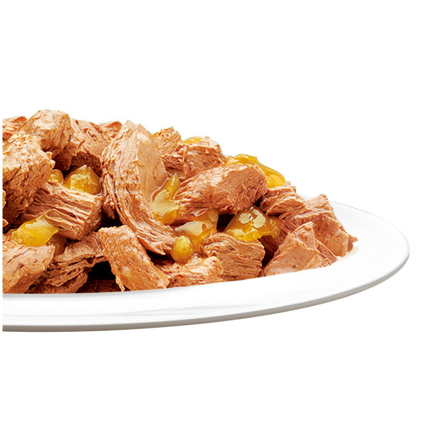 ピュリナ フィリックス パウチ やわらかグリル 成猫 ゼリー仕立て ツナ 50g×48個セット【送料無料】 猫用 キャットフード
