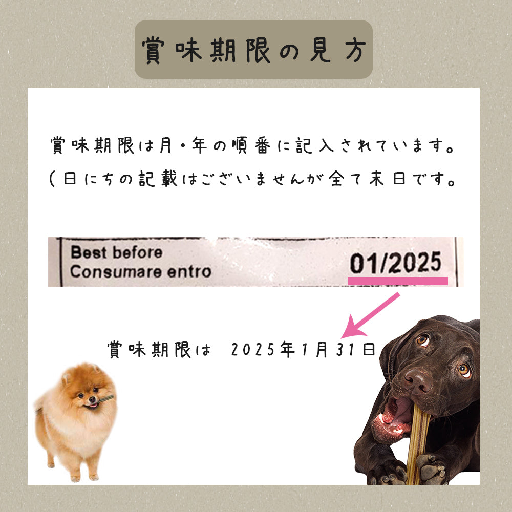 ファープラスト 犬用おやつ ベジタリアンデンタルスナック トゥースブラシ アスコフィラン S 4ピース デンタルガム デンタルケア 歯磨きガム