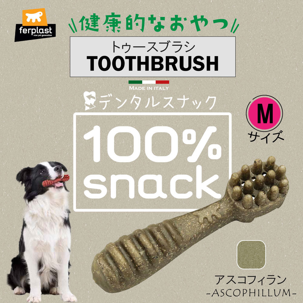 ファープラスト 犬用おやつ ベジタリアンデンタルスナック トゥースブラシ アスコフィラン M 3ピース デンタルガム デンタルケア 歯磨きガム