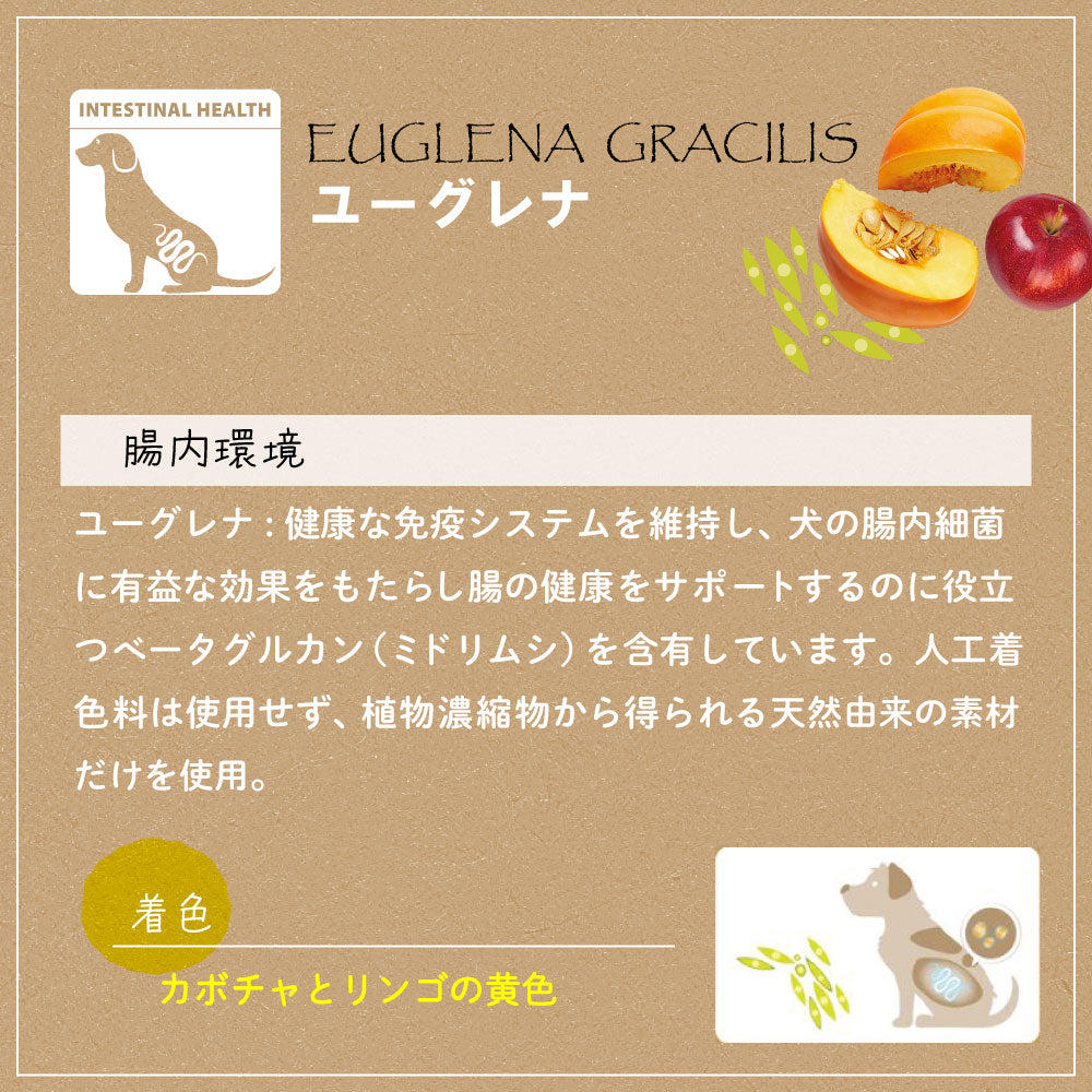 ファープラスト 犬用おやつ ベジタリアンデンタルスナック トゥースブラシ ユーグレナ M 3ピース デンタルガム デンタルケア 歯磨きガム