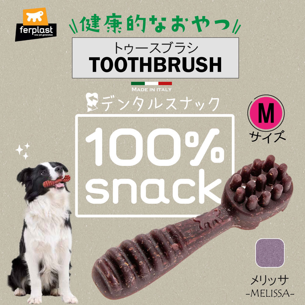 ファープラスト 犬用おやつ ベジタリアンデンタルスナック トゥースブラシ メリッサ M 3ピース デンタルガム デンタルケア 歯磨きガム