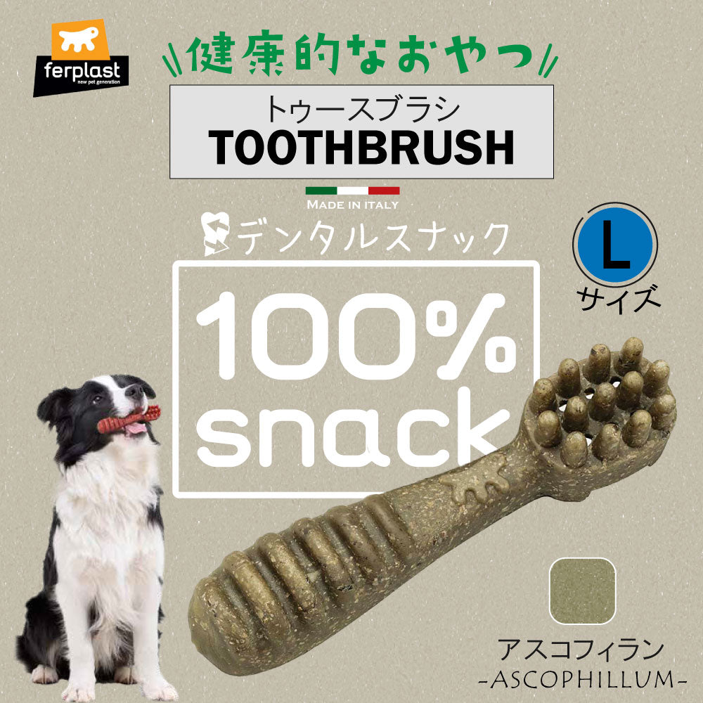 ファープラスト 犬用おやつ ベジタリアンデンタルスナック トゥースブラシ アスコフィラン L 2ピース デンタルガム デンタルケア 歯磨きガム