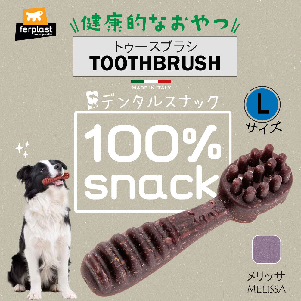 ファープラスト 犬用おやつ ベジタリアンデンタルスナック トゥースブラシ メリッサ L 2ピース デンタルガム デンタルケア 歯磨きガム