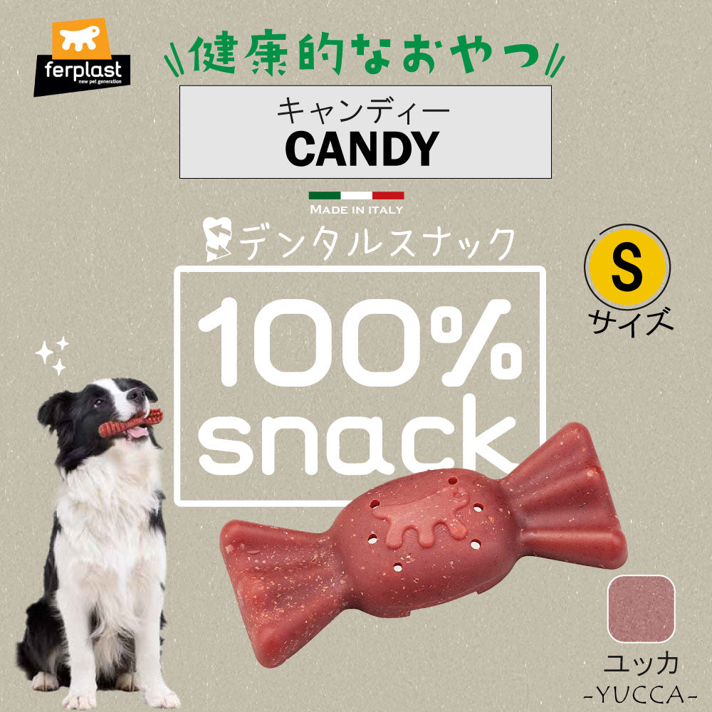 ファープラスト 犬用おやつ ベジタリアンデンタルスナック キャンディ ユッカ S 4ピース デンタルガム デンタルケア 歯磨きガム