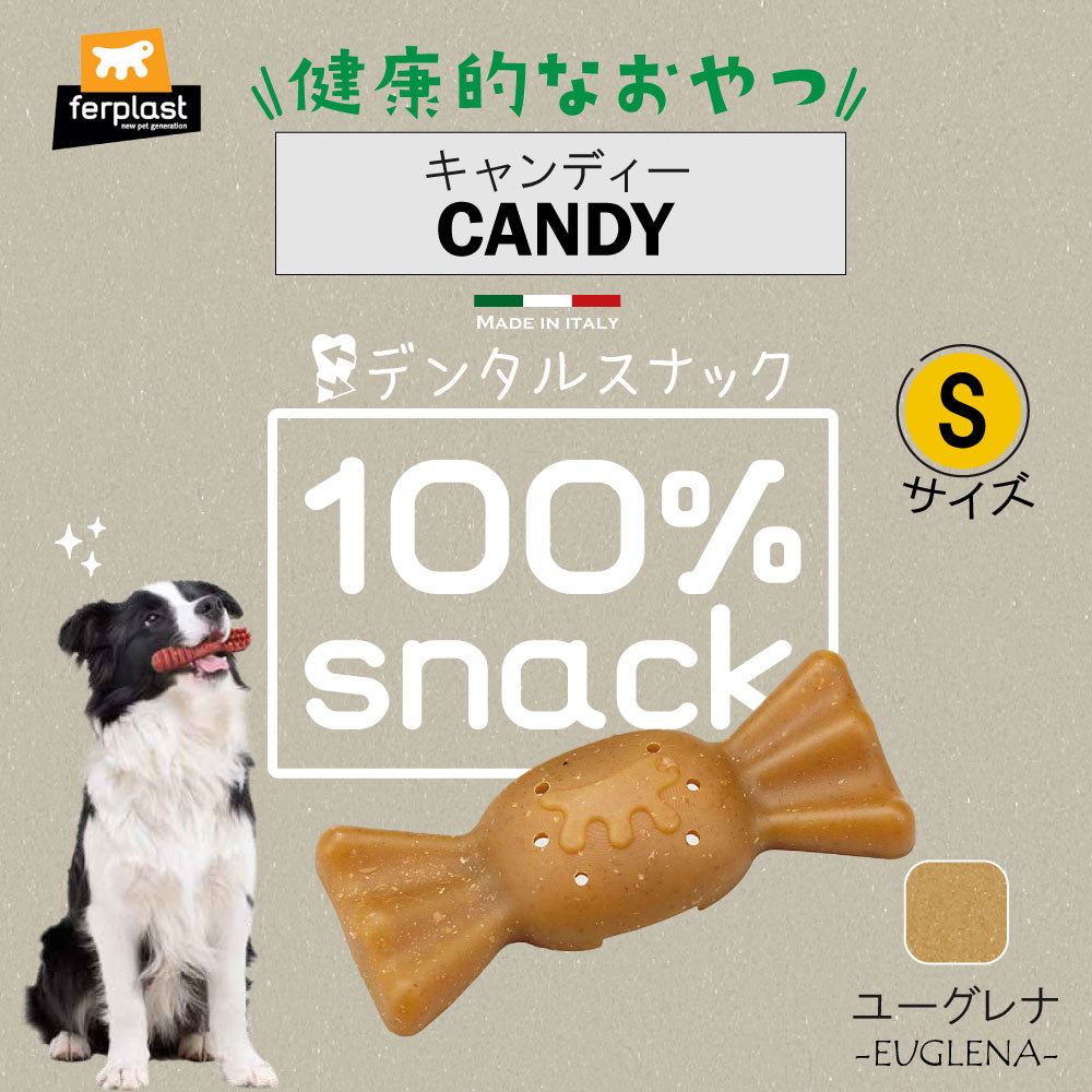 ファープラスト 犬用おやつ ベジタリアンデンタルスナック キャンディ ユーグレナ S 4ピース デンタルガム デンタルケア 歯磨きガム