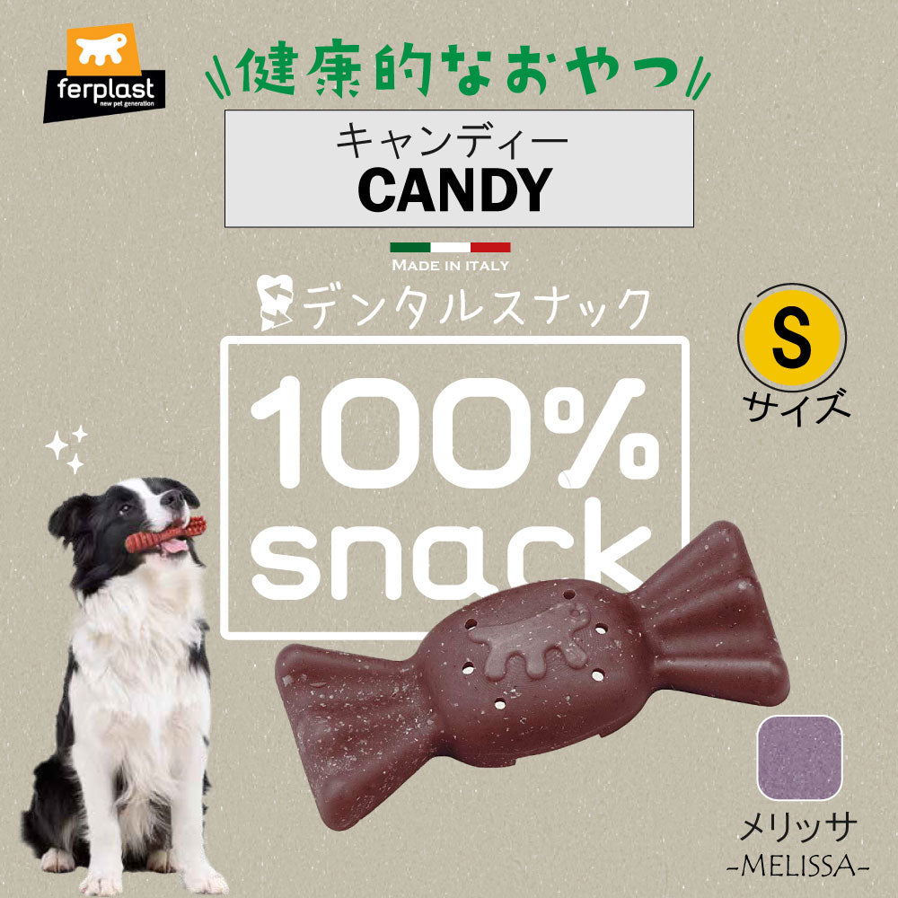 ファープラスト 犬用おやつ ベジタリアンデンタルスナック キャンディ メリッサ S 4ピース デンタルガム デンタルケア 歯磨きガム