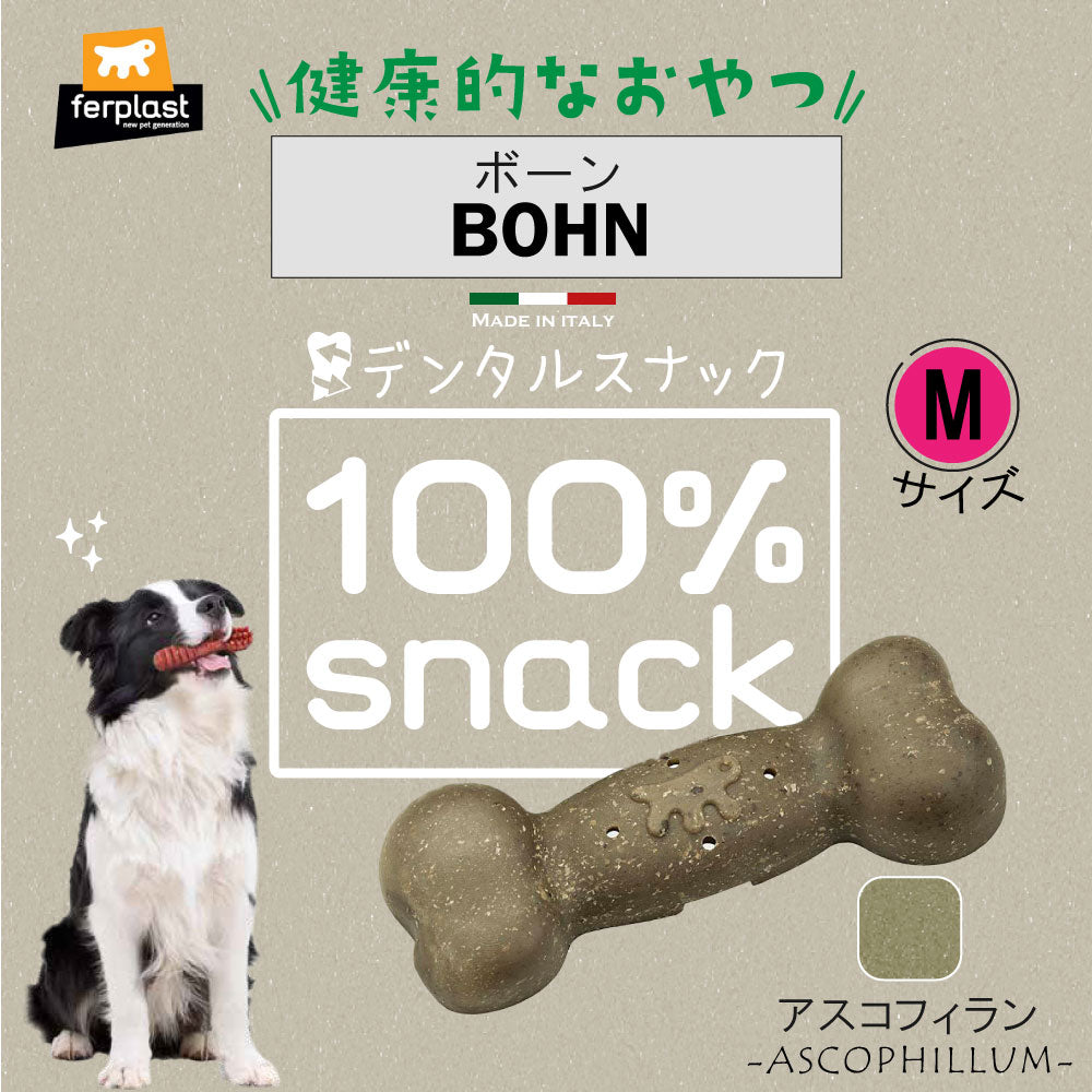 ファープラスト 犬用おやつ ベジタリアンデンタルスナック ボーン アスコフィラン M 3ピース デンタルガム デンタルケア 歯磨きガム