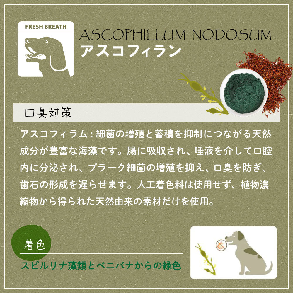 ファープラスト 犬用おやつ ベジタリアンデンタルスナック ボーン アスコフィラン M 3ピース デンタルガム デンタルケア 歯磨きガム