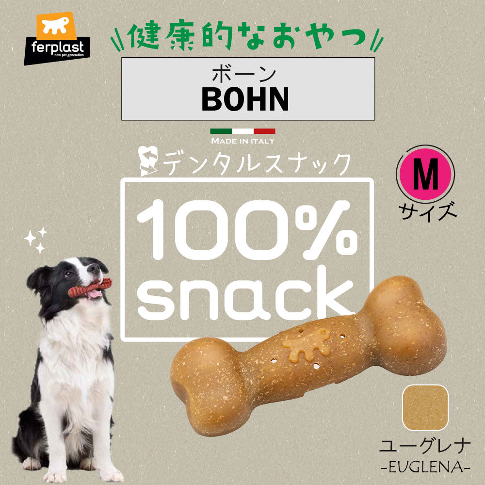 ファープラスト 犬用おやつ ベジタリアンデンタルスナック ボーン ユーグレナ M 3ピース デンタルガム デンタルケア 歯磨きガム