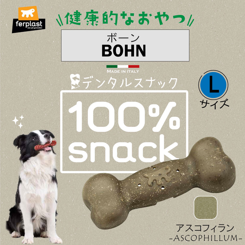 ファープラスト 犬用おやつ ベジタリアンデンタルスナック ボーン アスコフィラン L 2ピース デンタルガム デンタルケア 歯磨きガム