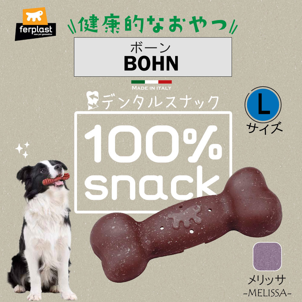 ファープラスト 犬用おやつ ベジタリアンデンタルスナック ボーン メリッサ L 2ピース デンタルガム デンタルケア 歯磨きガム