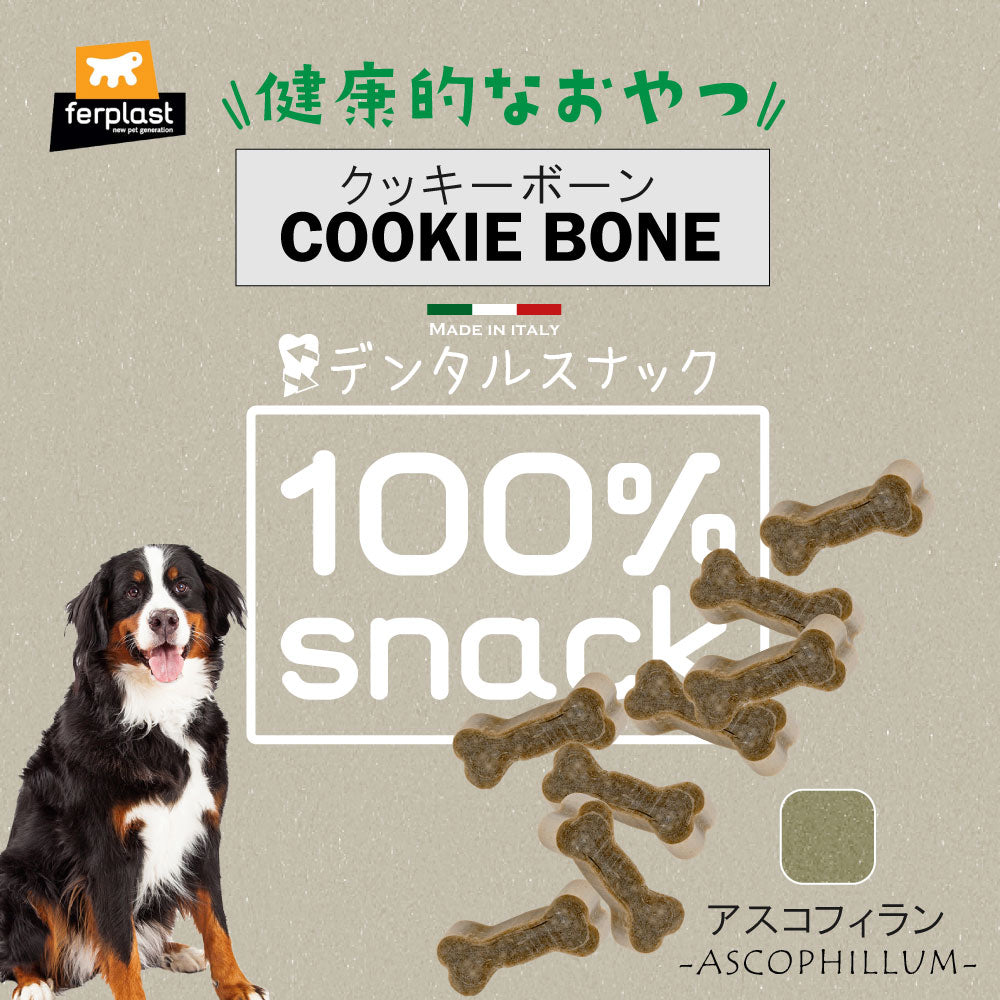 ファープラスト 犬用おやつ ベジタリアンデンタルスナック クッキーボーン アスコフィラン 150g デンタルガム デンタルケア 歯磨きガム