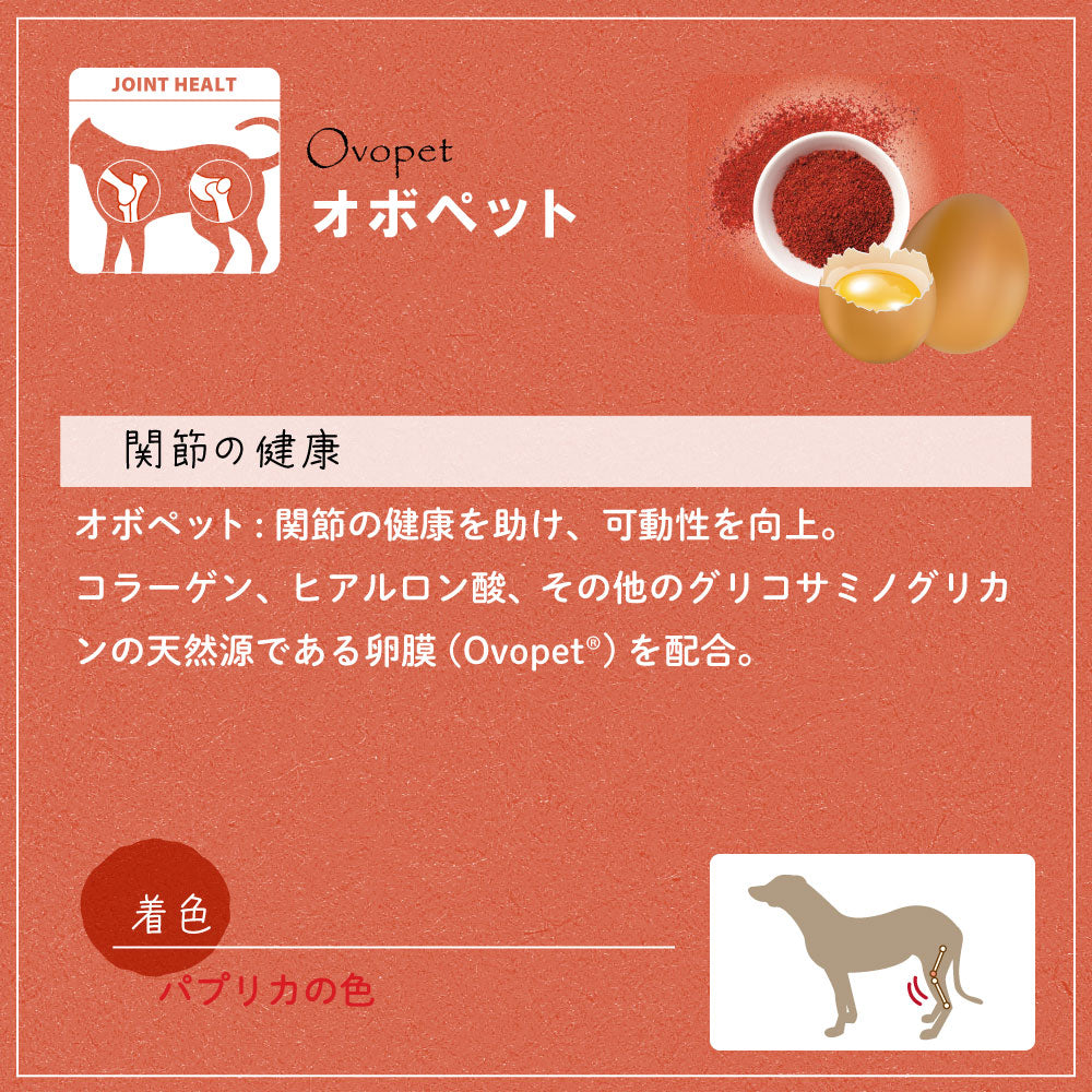 ファープラスト 犬用おやつ ベジタリアンデンタルスナック クッキーボーン オボペット 150g デンタルガム デンタルケア 歯磨きガム