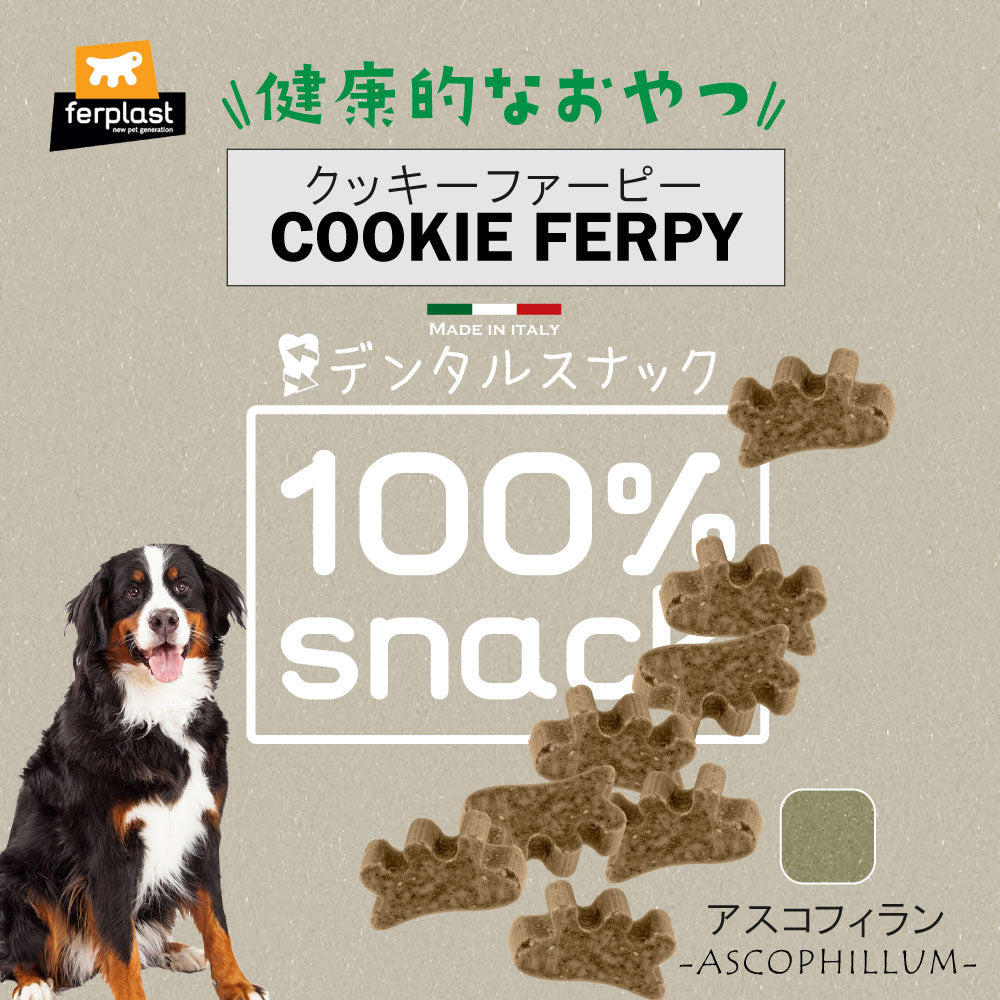 ファープラスト 犬用おやつ ベジタリアンデンタルスナック ファーピー アスコフィラン 150g デンタルガム デンタルケア 歯磨きガム