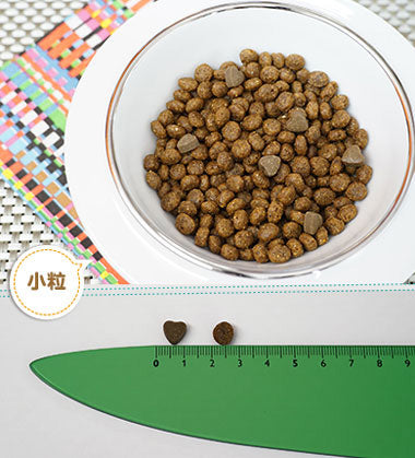 フォルツァ10 FORZA10 キャットフード アクティブライン 食事療法食 リナール アクティブ 1.5kg【送料無料】