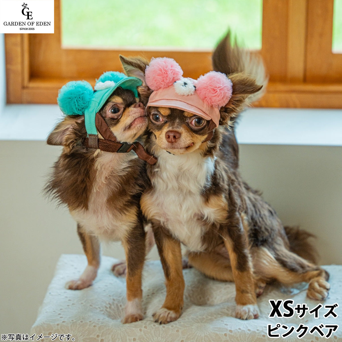 犬の帽子 ガーデンオブエデン デニムポンポンベアCAP XS ピンクベア【送料無料】