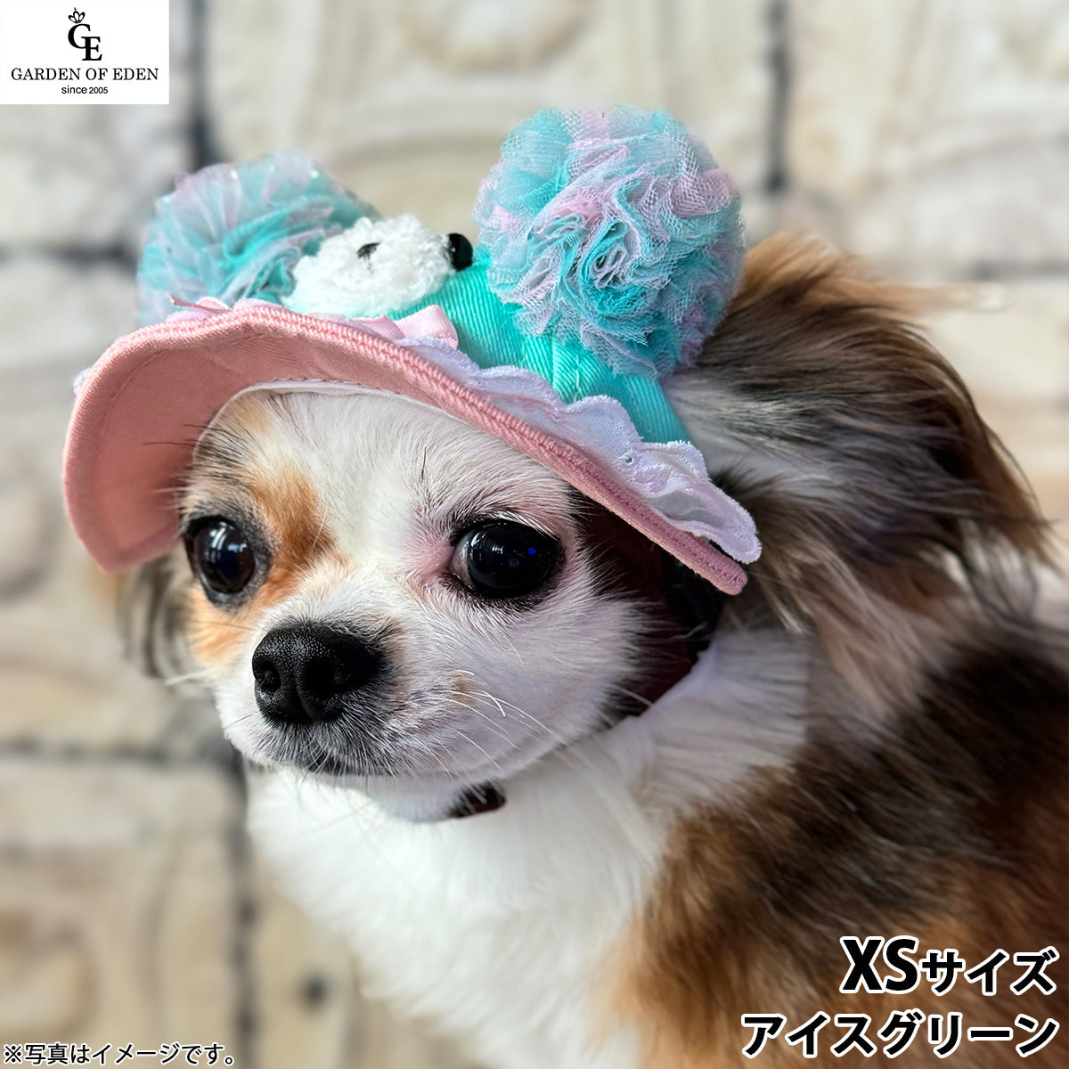 犬の帽子 ガーデンオブエデン ゆめかわ ベアハット XS アイスグリーン【送料無料】