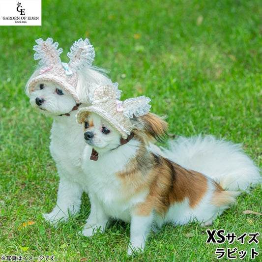 犬の帽子 ガーデンオブエデン 森のうさぎ&くまさんハット XS ラビット【送料無料】