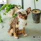 犬の帽子 ガーデンオブエデン オーガニックコットンキャスケット M パープル
