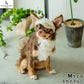 犬の帽子 ガーデンオブエデン オーガニックコットンキャスケット M スカイブルー