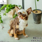 犬の帽子 ガーデンオブエデン オーガニックコットンキャスケット XS スカイブルー