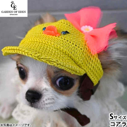 犬の帽子 ガーデンオブエデン アニマルメッシュ キャップ S コアラ