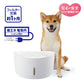 ジェックス ピュアクリスタル ウェル 2.5L 犬用 ホワイト