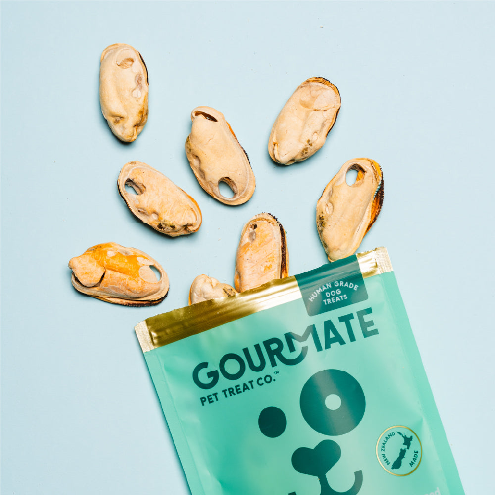 GOURMATE グルメイト トリーツ オーガニック緑イ貝 犬猫用おやつ