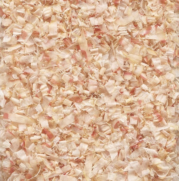 はごろもフーズ 無一物 キャットフード まぐろけずりぶし 23g×20個