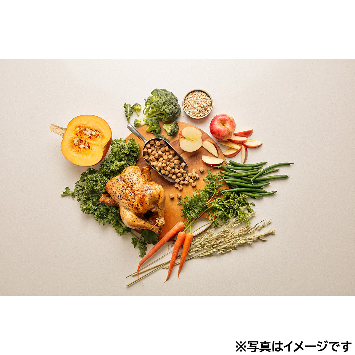 オネストキッチン HONEST KITCHEN ドッグフード クランチ グレインフリー チキン 50g×24個セット