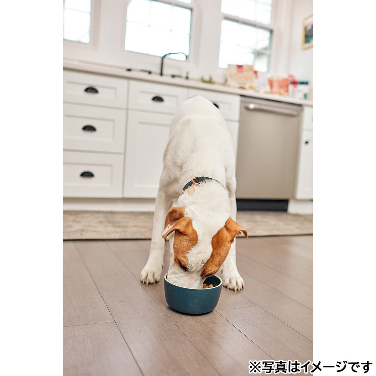 オネストキッチン HONEST KITCHEN ドッグフード クランチ グレインフリー ターキー 2.27kg×6個セット