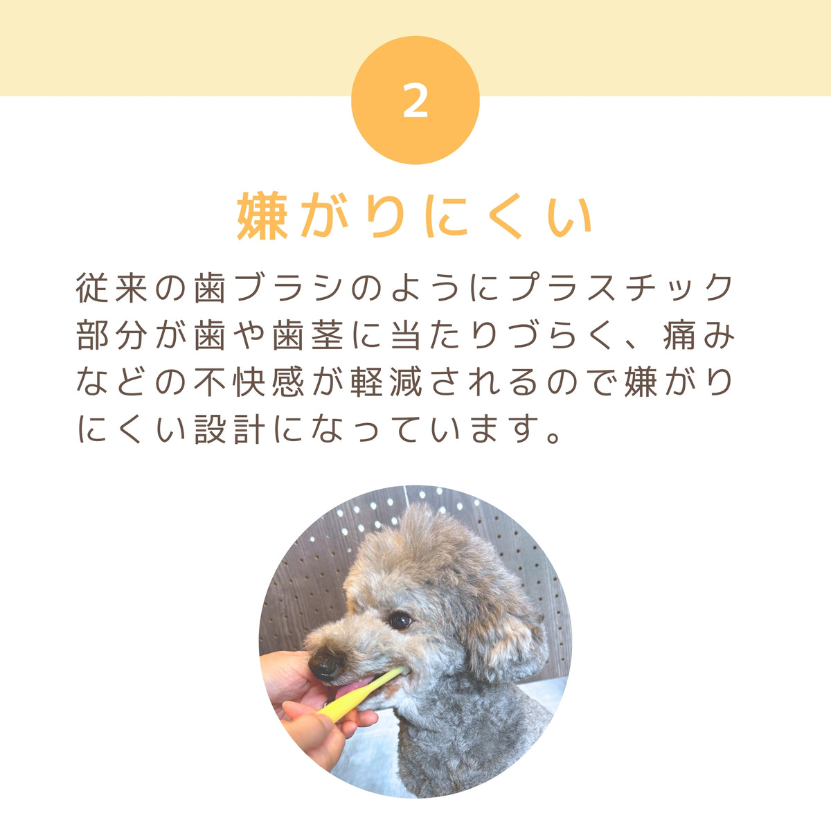 ハピコ Hapico 猫用歯ブラシ レギュラー グリーン