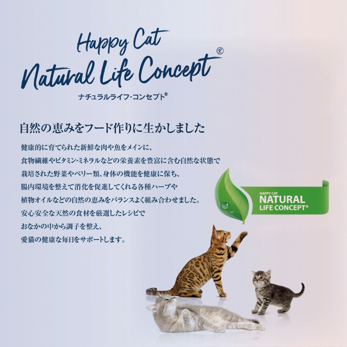 HAPPY CAT ハッピーキャット キャットフード ヤング ジュニア ファーム ポルトリー（平飼いチキン） 1.3kg×4個セット【送料無料】