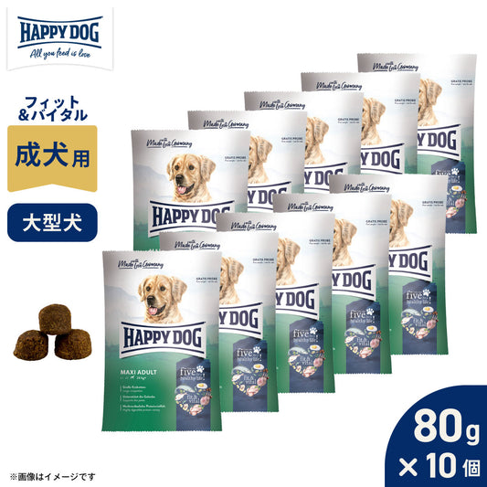 HAPPY DOG ハッピードッグ ドッグフード フィット&バイタル マキシ アダルト 成犬用(大型犬・成犬用) 80g×10個セット