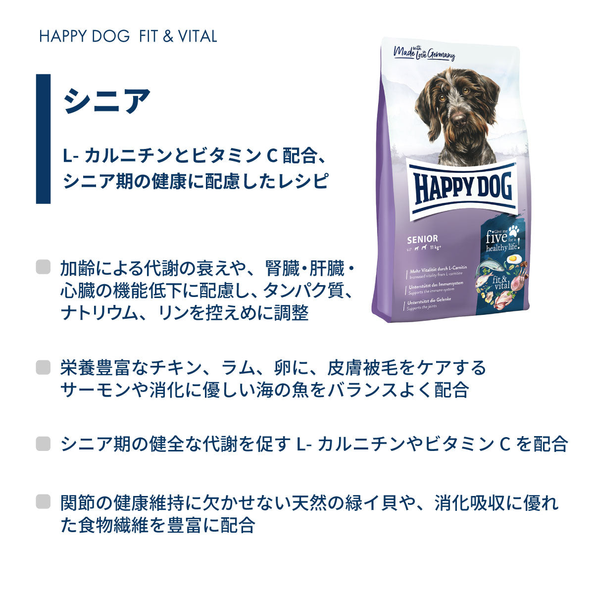 HAPPY DOG ハッピードッグ ドッグフード フィット＆バイタル シニア（中～大型犬） 80g×10個セット
