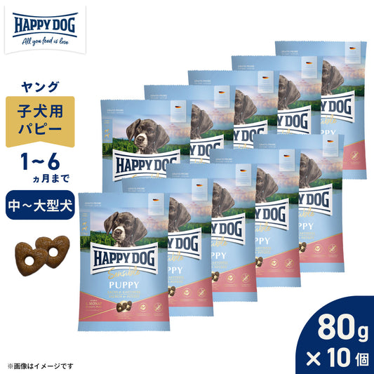 HAPPY DOG ハッピードッグ ドッグフード ヤング センシブル パピー サーモン&ポテト(中~大型犬) 80g×10個セット