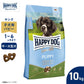 ハッピードッグ HAPPY DOG ドッグフード ヤング センシブル パピー ラム＆ライス（中～大型犬） 10kg【送料無料】