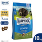 ハッピードッグ HAPPY DOG ドッグフード ヤング センシブル ジュニア ラム＆ライス（中～大型犬） 10kg【送料無料】
