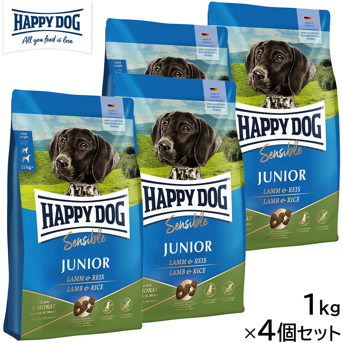 HAPPY DOG ハッピードッグ ドッグフード ヤング センシブル ジュニア ラム＆ライス（中～大型犬） 1kg×4個セット【送料無料】